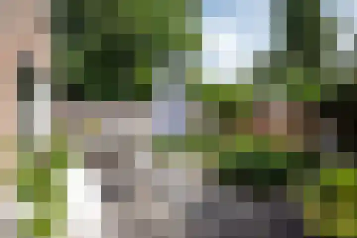 Kruizemuntweg 21 Haren Gn thumbnail 36