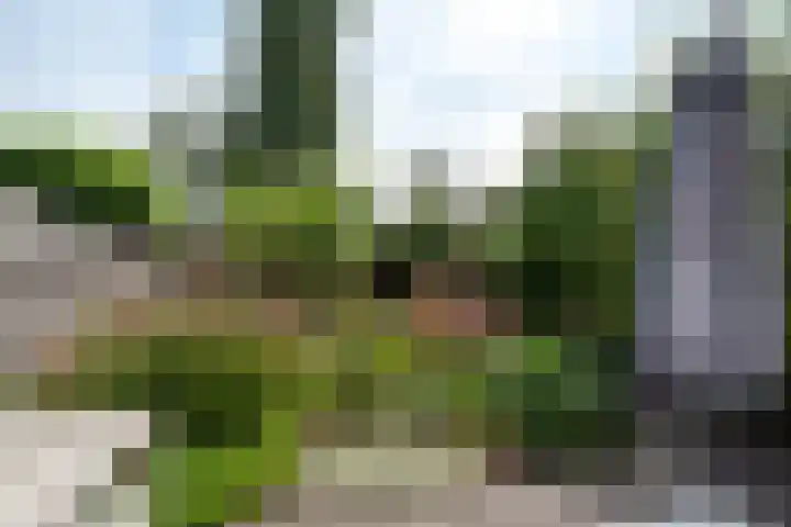 Kruizemuntweg 21 Haren Gn thumbnail 37