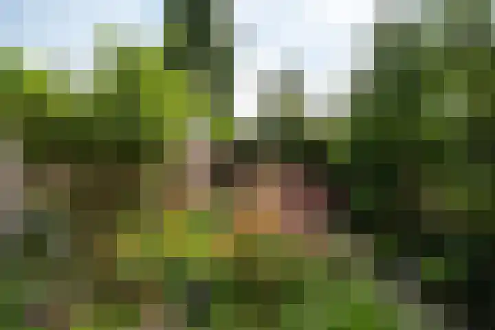 Kruizemuntweg 21 Haren Gn thumbnail 38