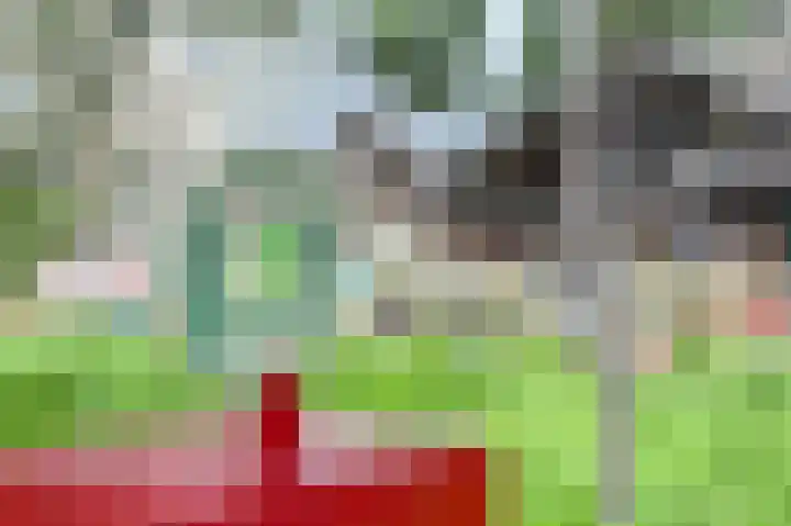 Kruizemuntweg 21 Haren Gn thumbnail 39
