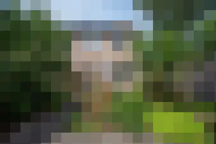Kruizemuntweg 21 Haren Gn thumbnail 4