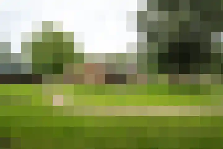 Kruizemuntweg 21 Haren Gn thumbnail 40