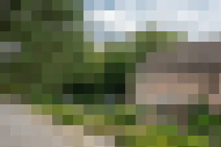 Kruizemuntweg 21 Haren Gn thumbnail 5