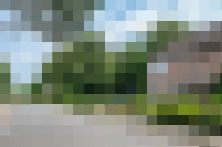 Kruizemuntweg 21 Haren Gn thumbnail 7