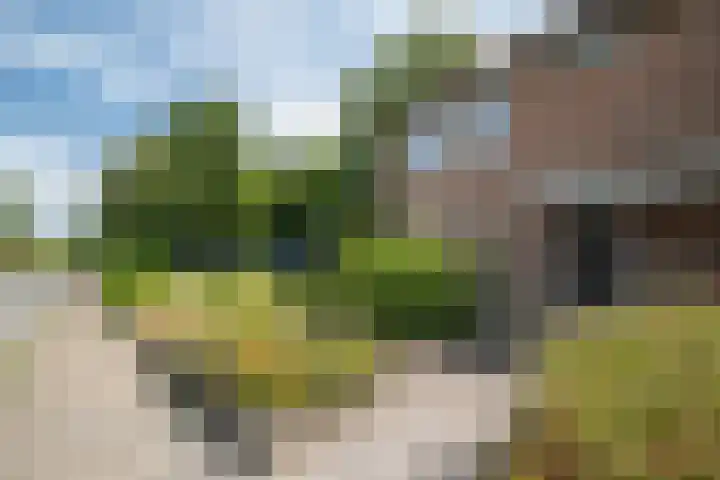 Kruizemuntweg 21 Haren Gn thumbnail 9