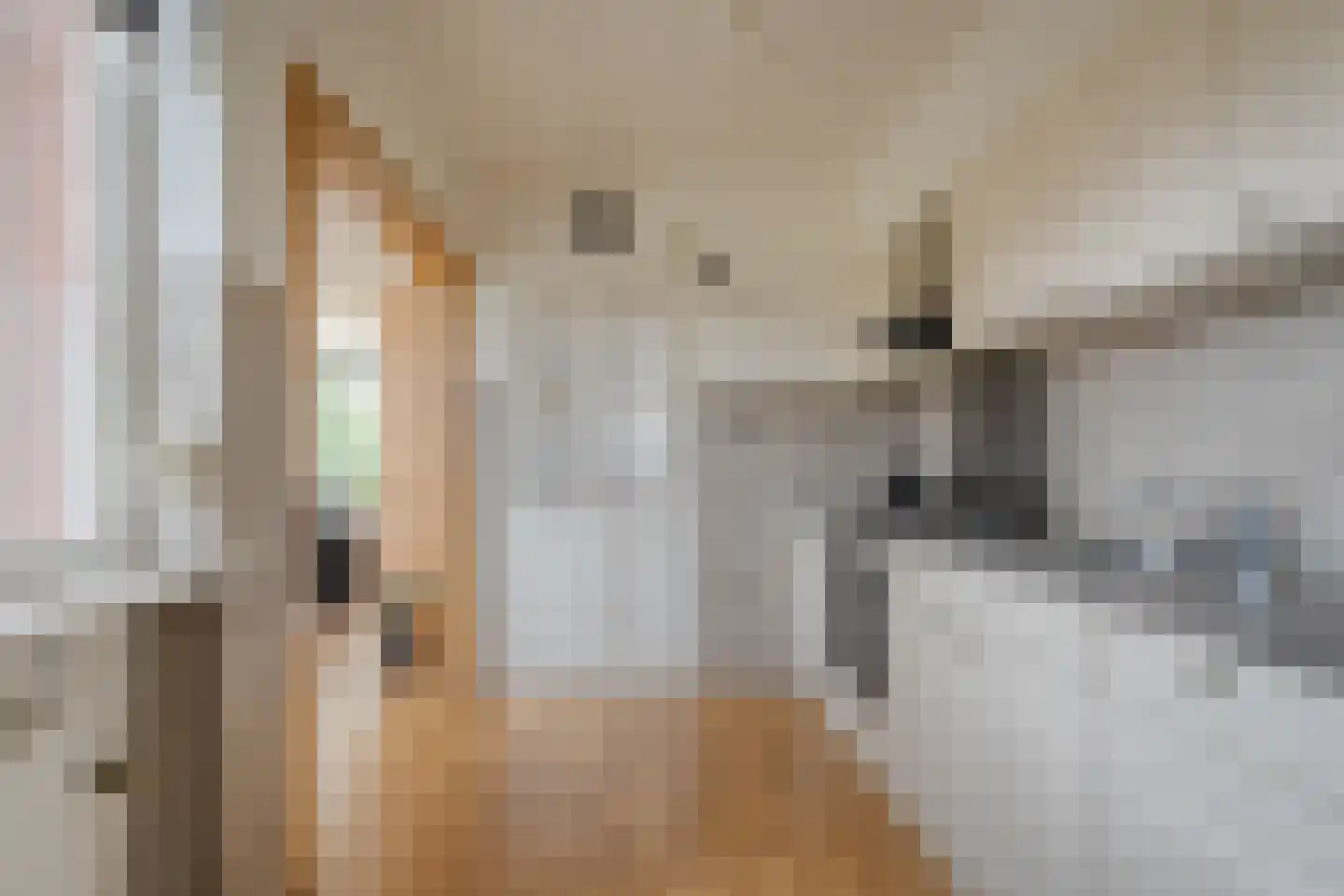 Kruizingastraat 18 Balkbrug thumbnail 10