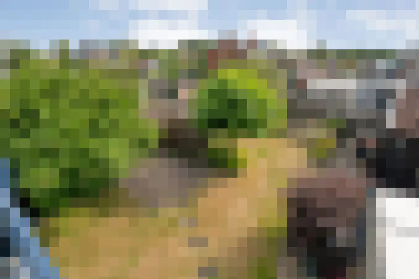 Kruizingastraat 18 Balkbrug thumbnail 25