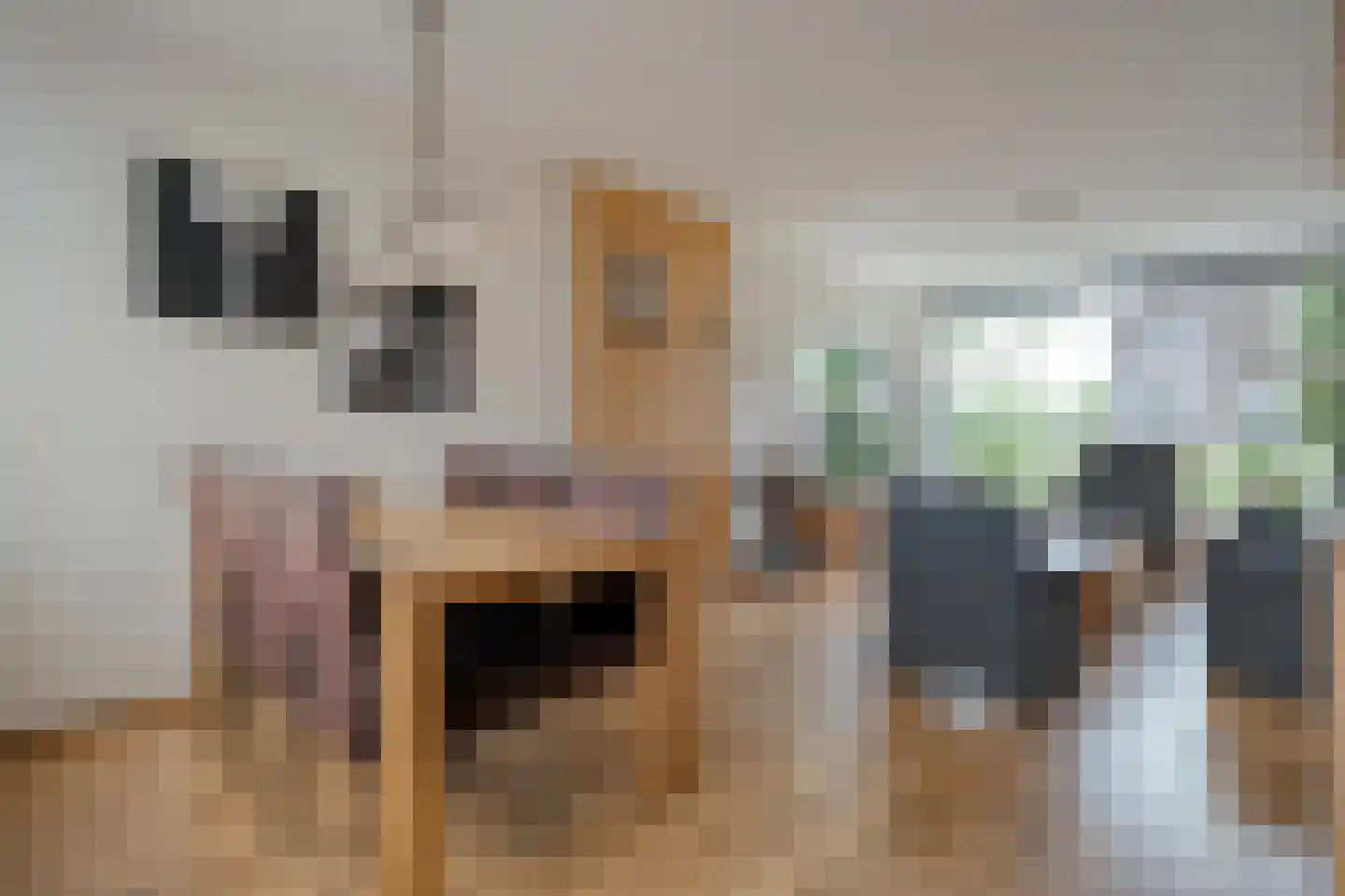 Kruizingastraat 18 Balkbrug thumbnail 5