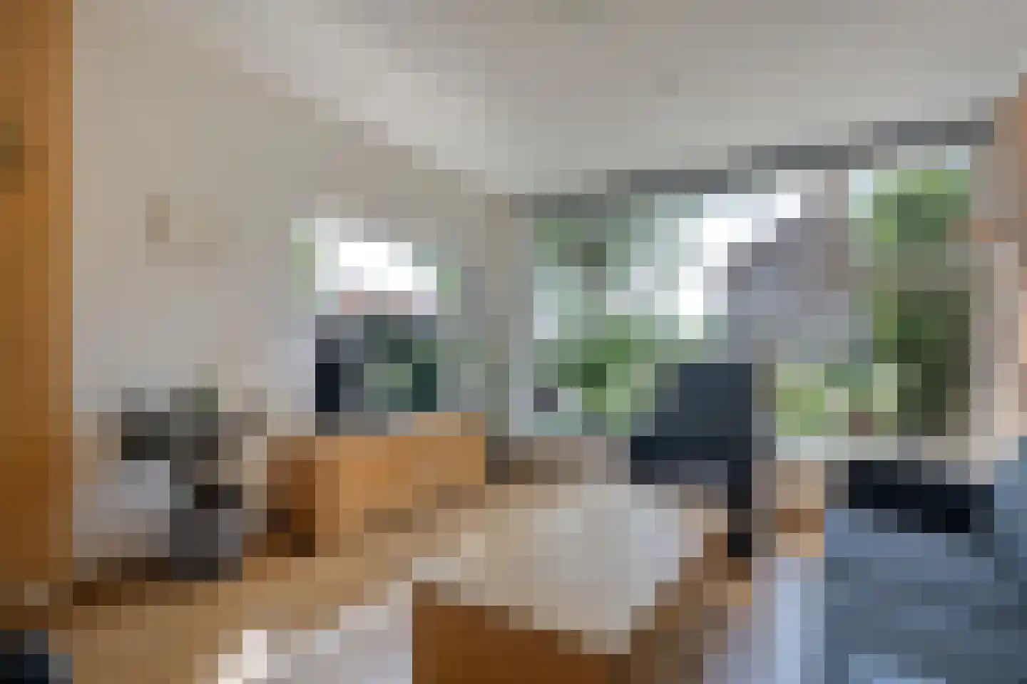 Kruizingastraat 18 Balkbrug thumbnail 6