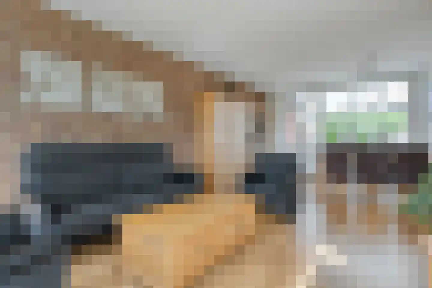 Kruizingastraat 18 Balkbrug thumbnail 7