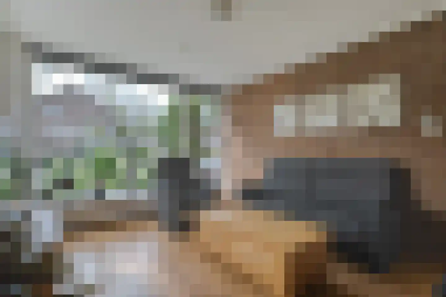 Kruizingastraat 18 Balkbrug thumbnail 8