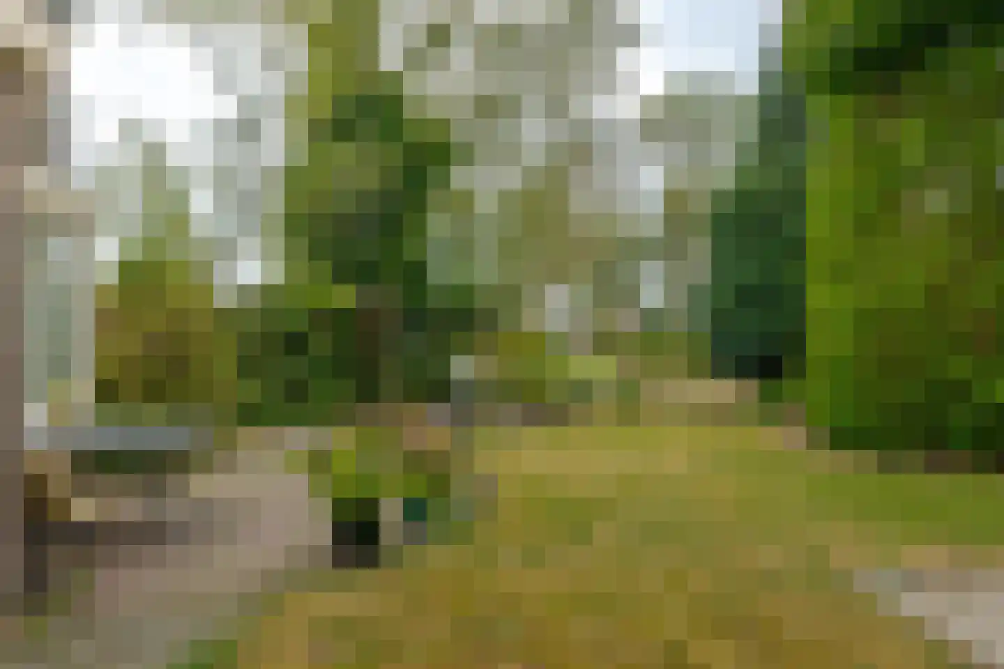 Kruizingastraat 21 Balkbrug thumbnail 16