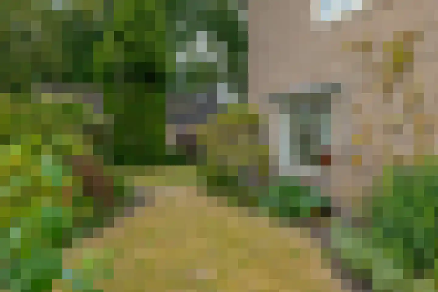 Kruizingastraat 21 Balkbrug thumbnail 18