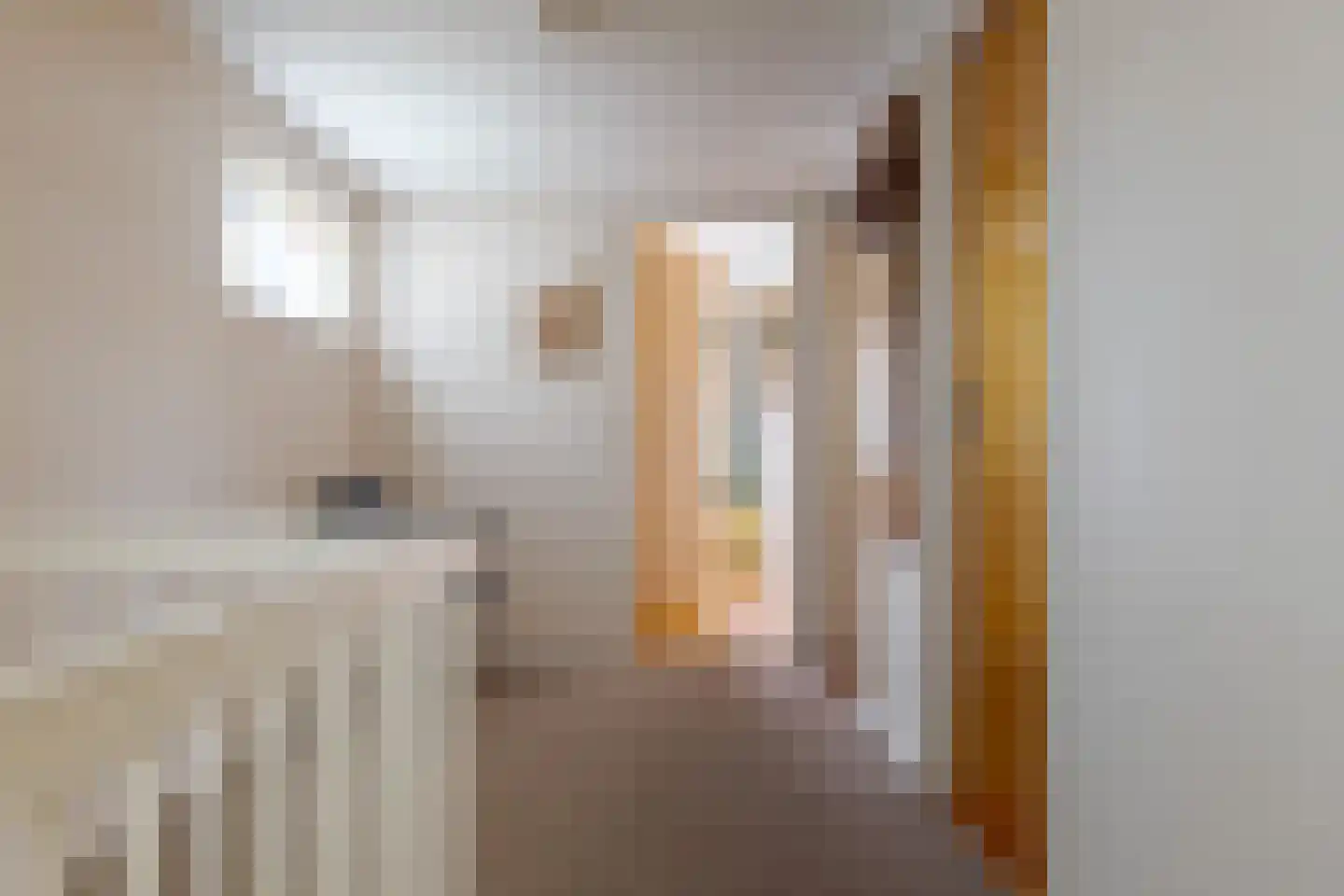 Kruizingastraat 21 Balkbrug thumbnail 22