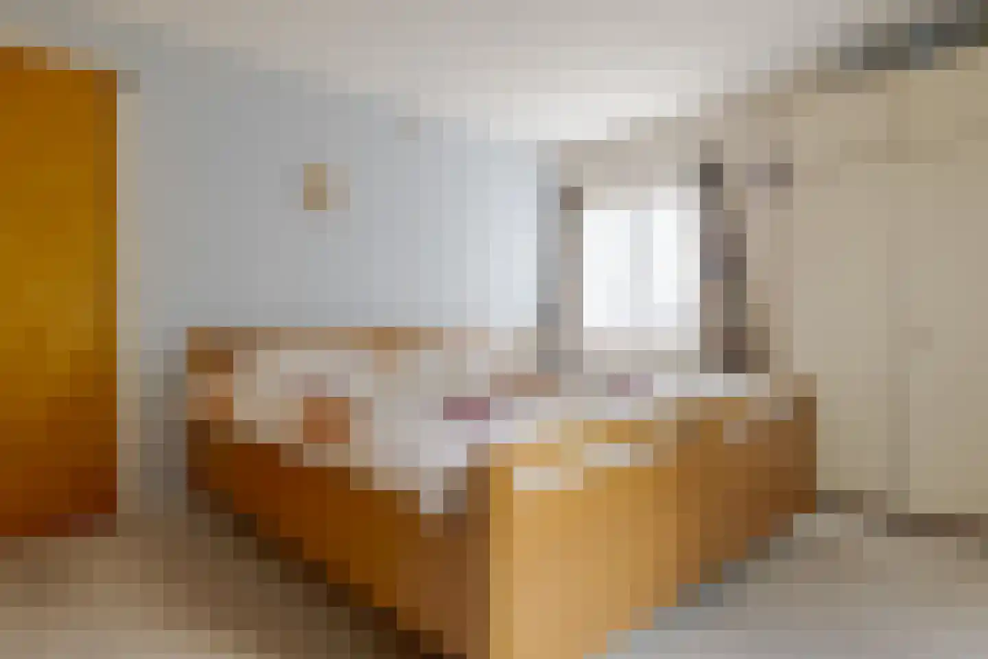 Kruizingastraat 21 Balkbrug thumbnail 24