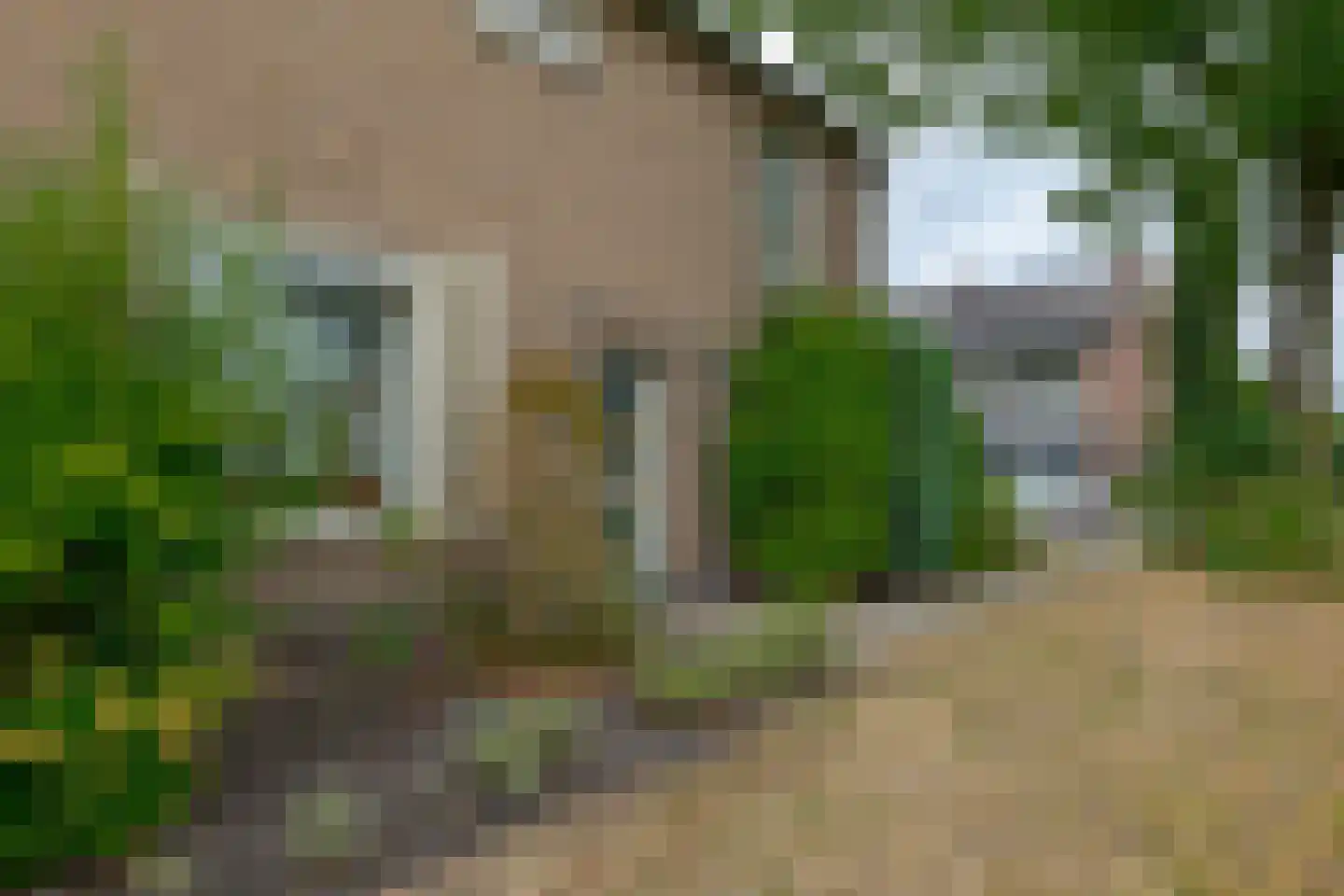 Kruizingastraat 21 Balkbrug thumbnail 4