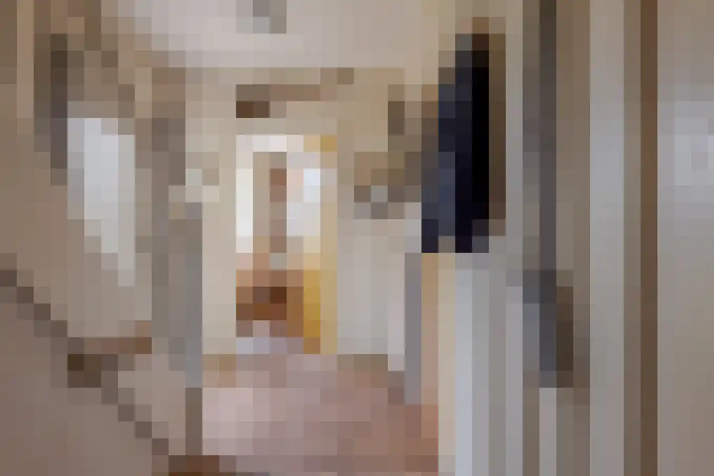 Kruizingastraat 21 Balkbrug thumbnail 7