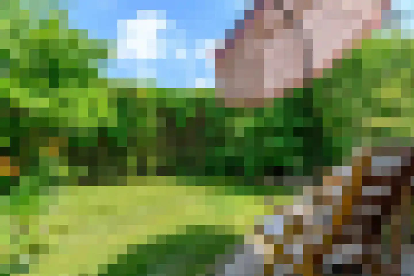 Kruksebaan 12 Groesbeek thumbnail 38