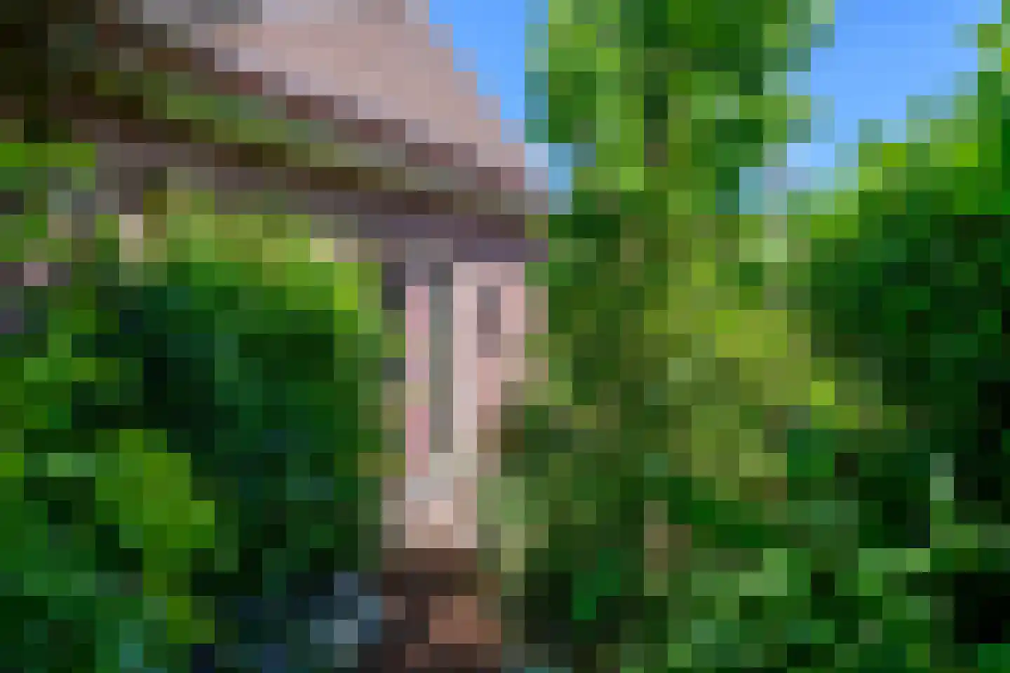 Kruksebaan 12 Groesbeek thumbnail 40