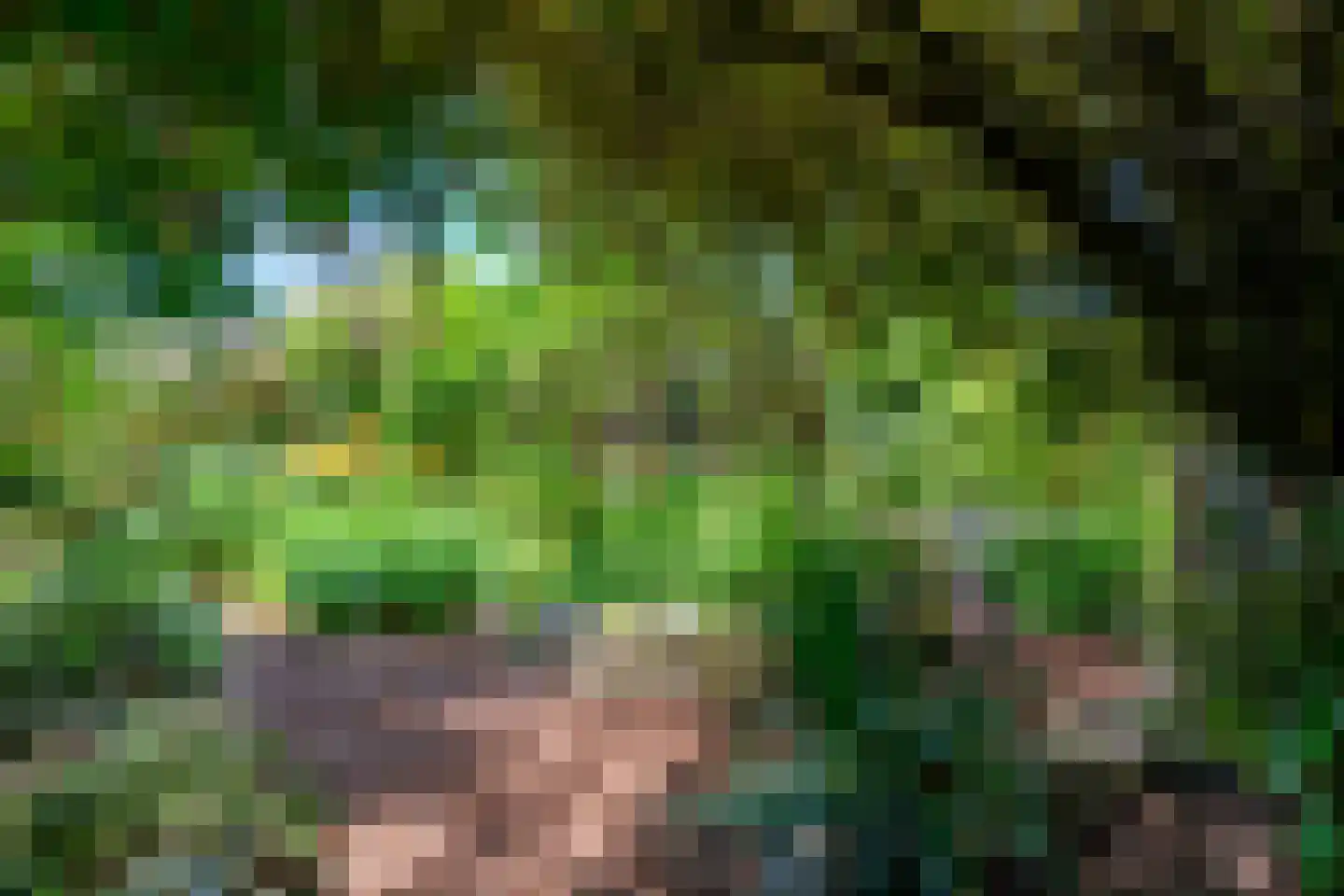 Kruksebaan 12 Groesbeek thumbnail 41