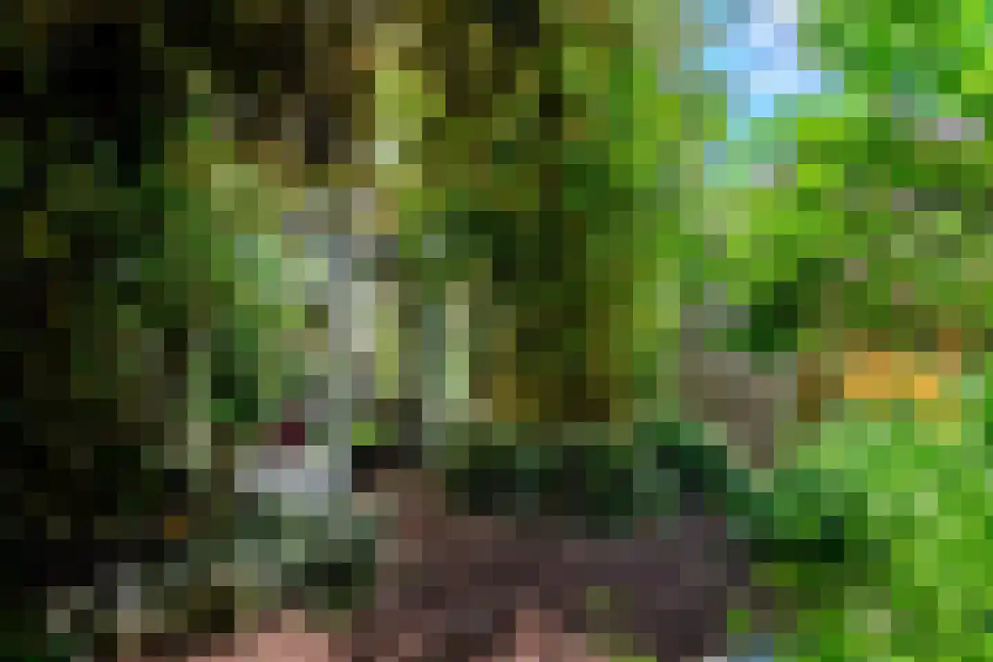 Kruksebaan 12 Groesbeek thumbnail 42
