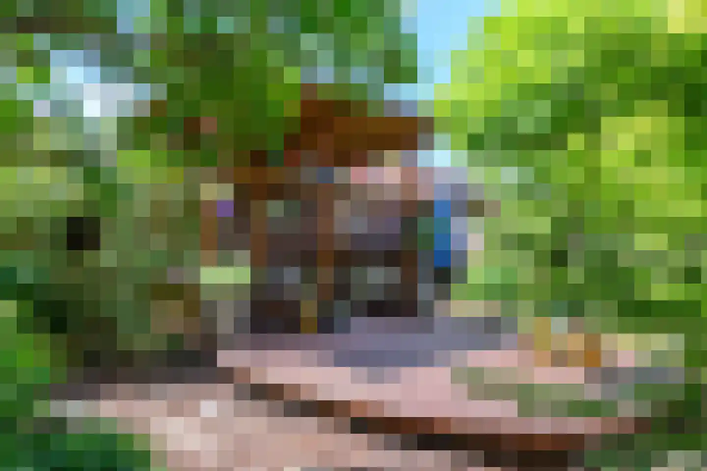 Kruksebaan 12 Groesbeek thumbnail 5