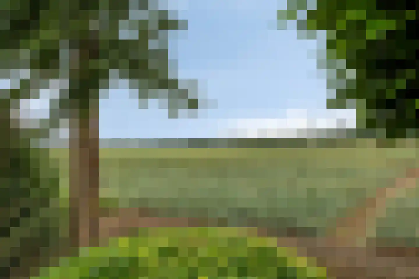 Krukweg 5 Moerdijk thumbnail 32
