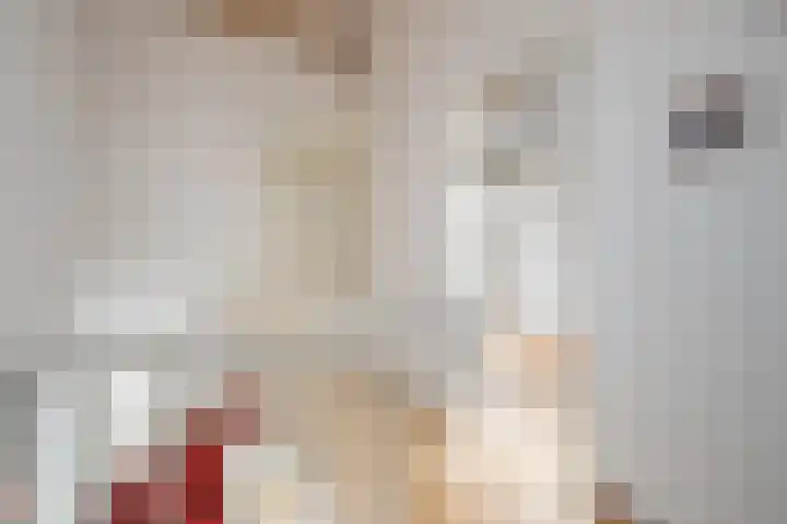 Krulbolruwe 17 Maastricht thumbnail 13