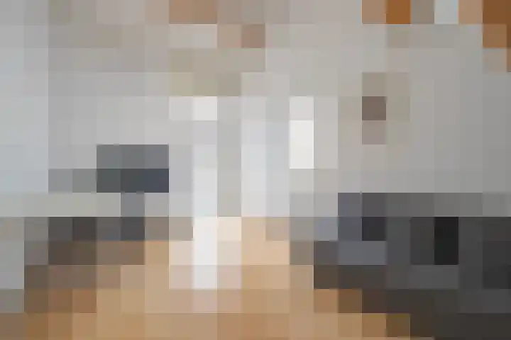 Krulbolruwe 17 Maastricht thumbnail 14