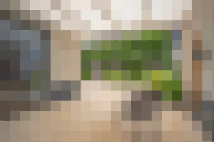Krulbolruwe 17 Maastricht thumbnail 17