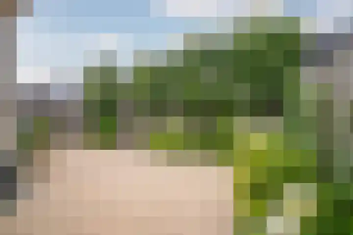 Krulbolruwe 17 Maastricht thumbnail 18
