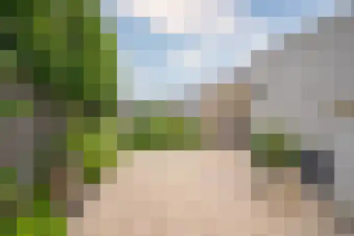 Krulbolruwe 17 Maastricht thumbnail 19