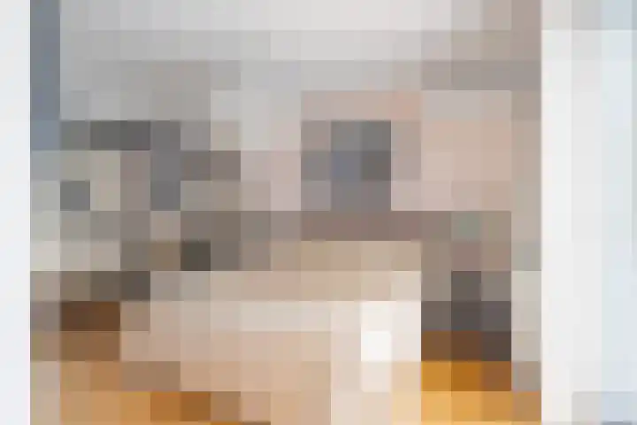 Krulbolruwe 17 Maastricht thumbnail 5