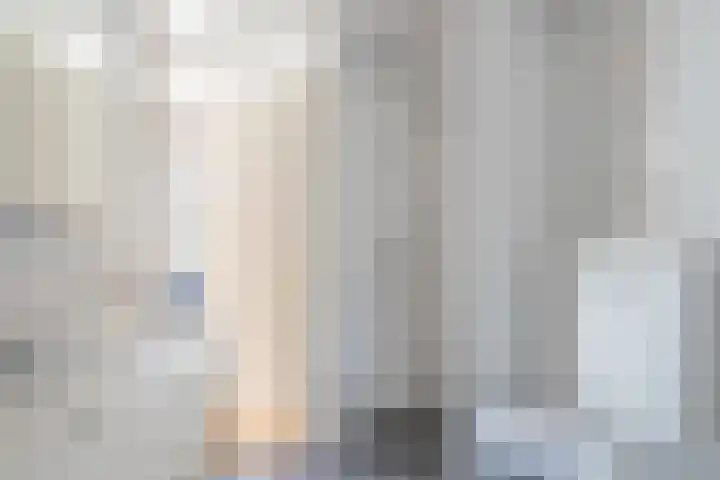 Krulbolruwe 17 Maastricht thumbnail 6