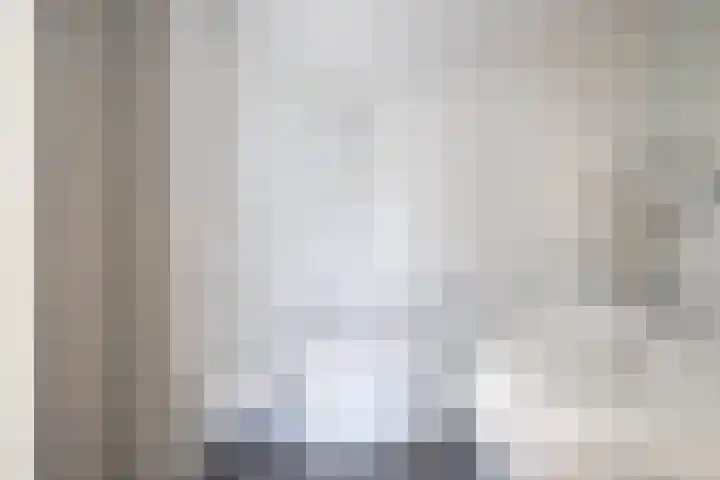 Krulbolruwe 17 Maastricht thumbnail 7