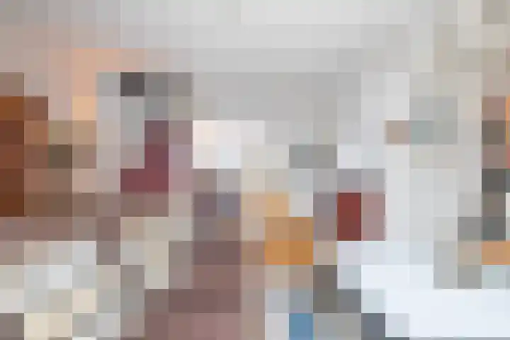 Krulbolruwe 17 Maastricht thumbnail 8