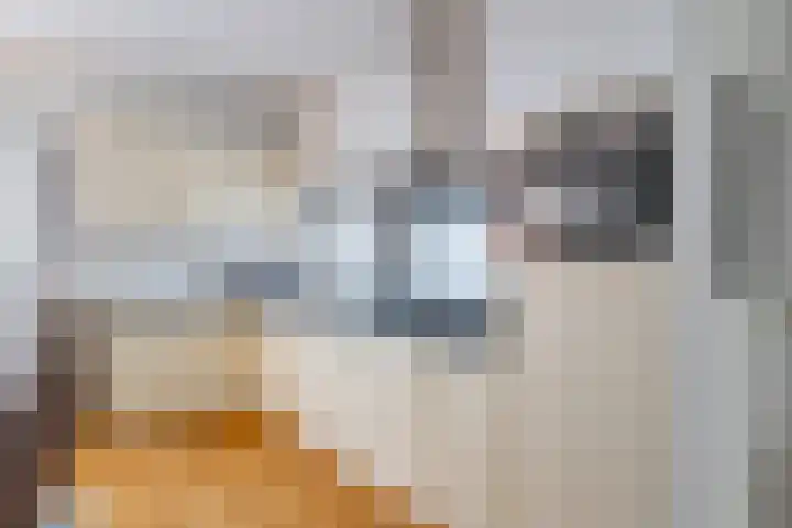 Krulbolruwe 17 Maastricht thumbnail 9