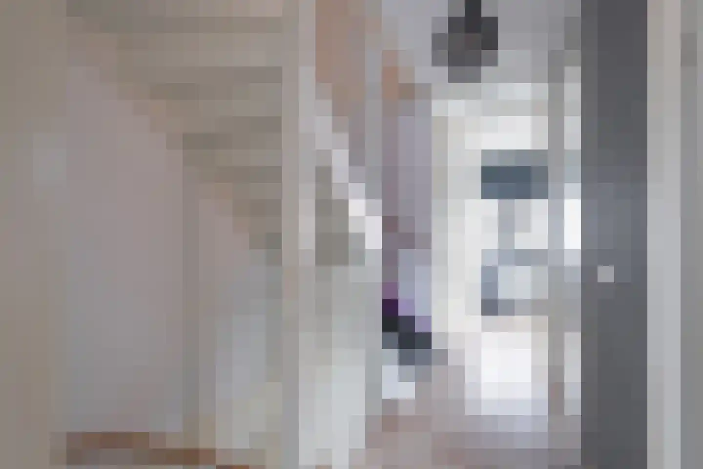 Krulbolruwe 4 Maastricht thumbnail 7