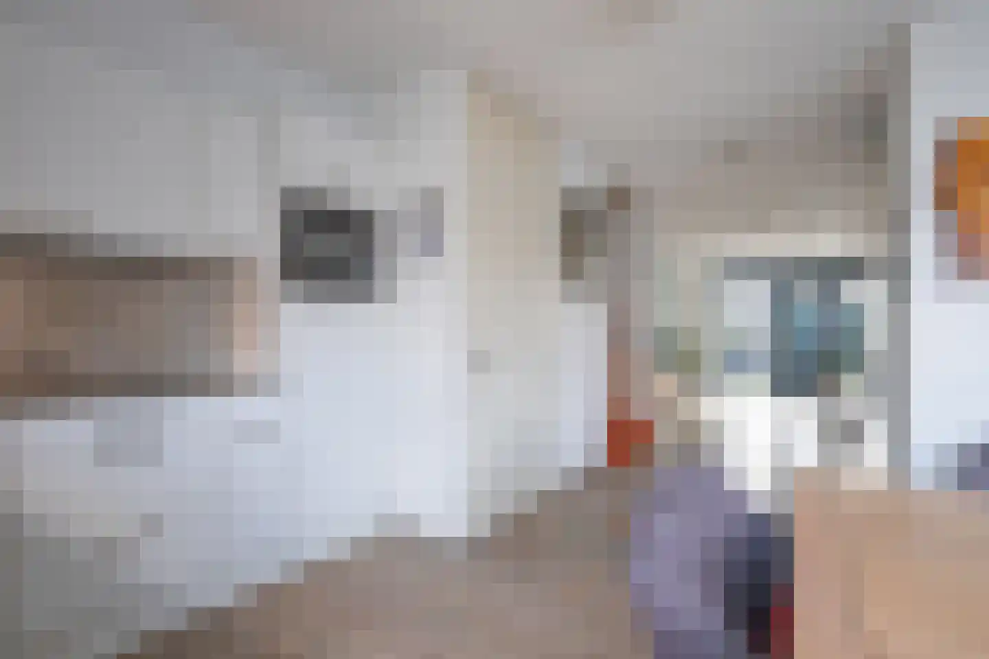Krulbolruwe 4 Maastricht thumbnail 7