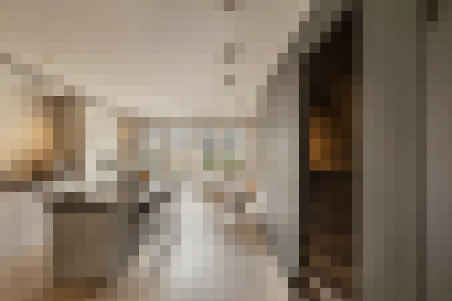 Kruldistelstraat 27 Amsterdam thumbnail 5