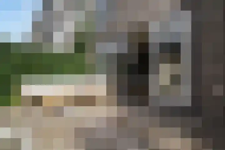 Kruldistelstraat 9 Amsterdam thumbnail 56