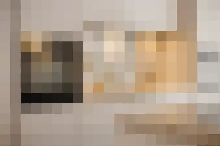 Kruldistelstraat 9 Amsterdam thumbnail 9