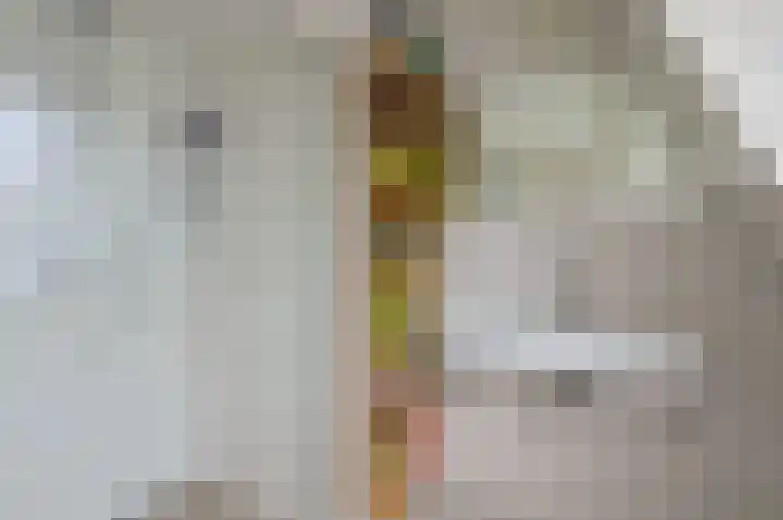Krullelaan 15 Zeist thumbnail 11