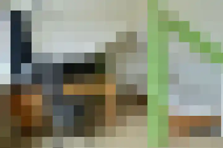 Krullelaan 15 Zeist thumbnail 13
