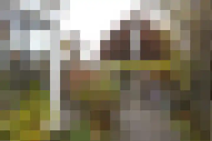 Krullelaan 15 Zeist thumbnail 16