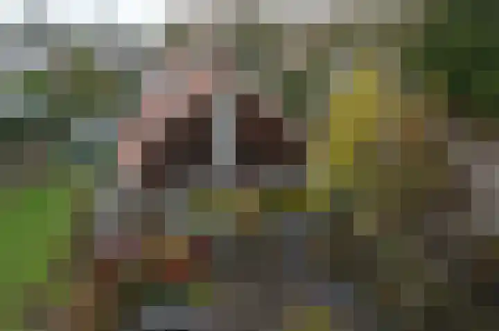 Krullelaan 15 Zeist thumbnail 17
