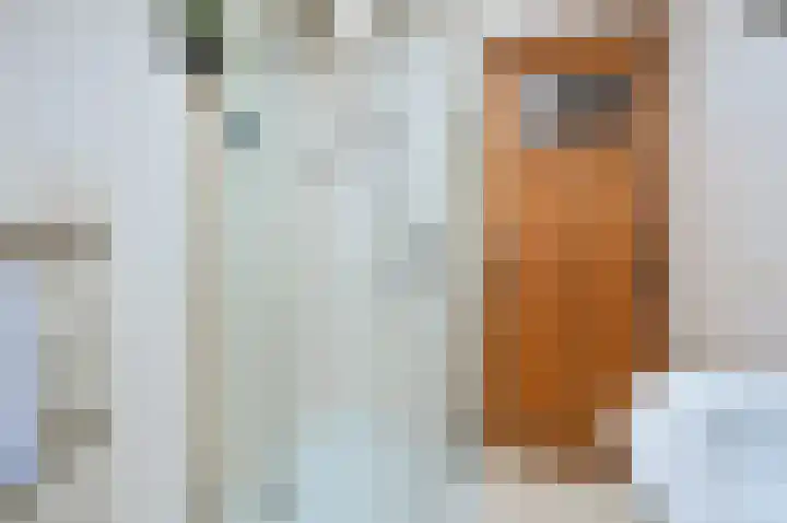 Krullelaan 15 Zeist thumbnail 22
