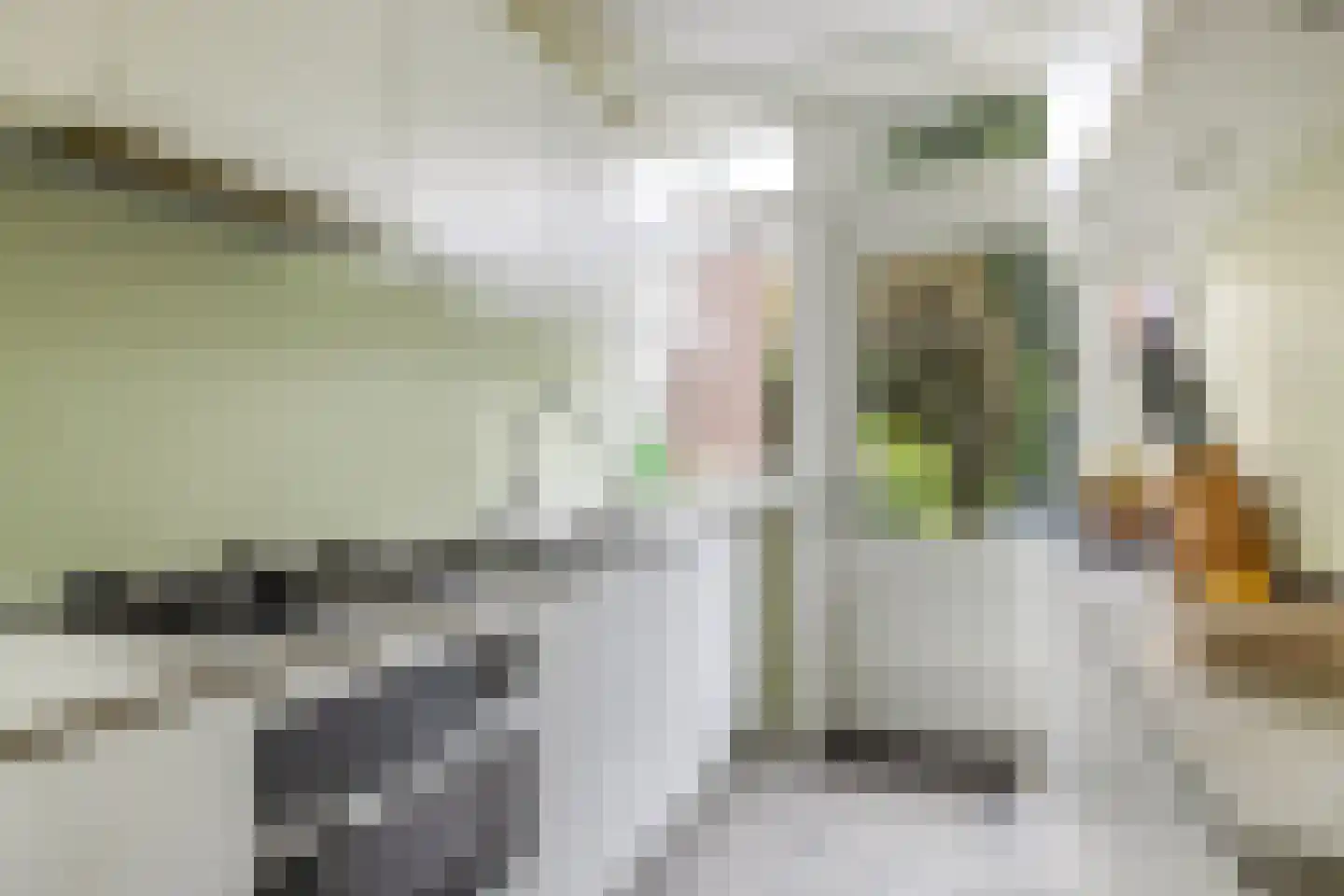 Krullelaan 2 A Zeist thumbnail 24