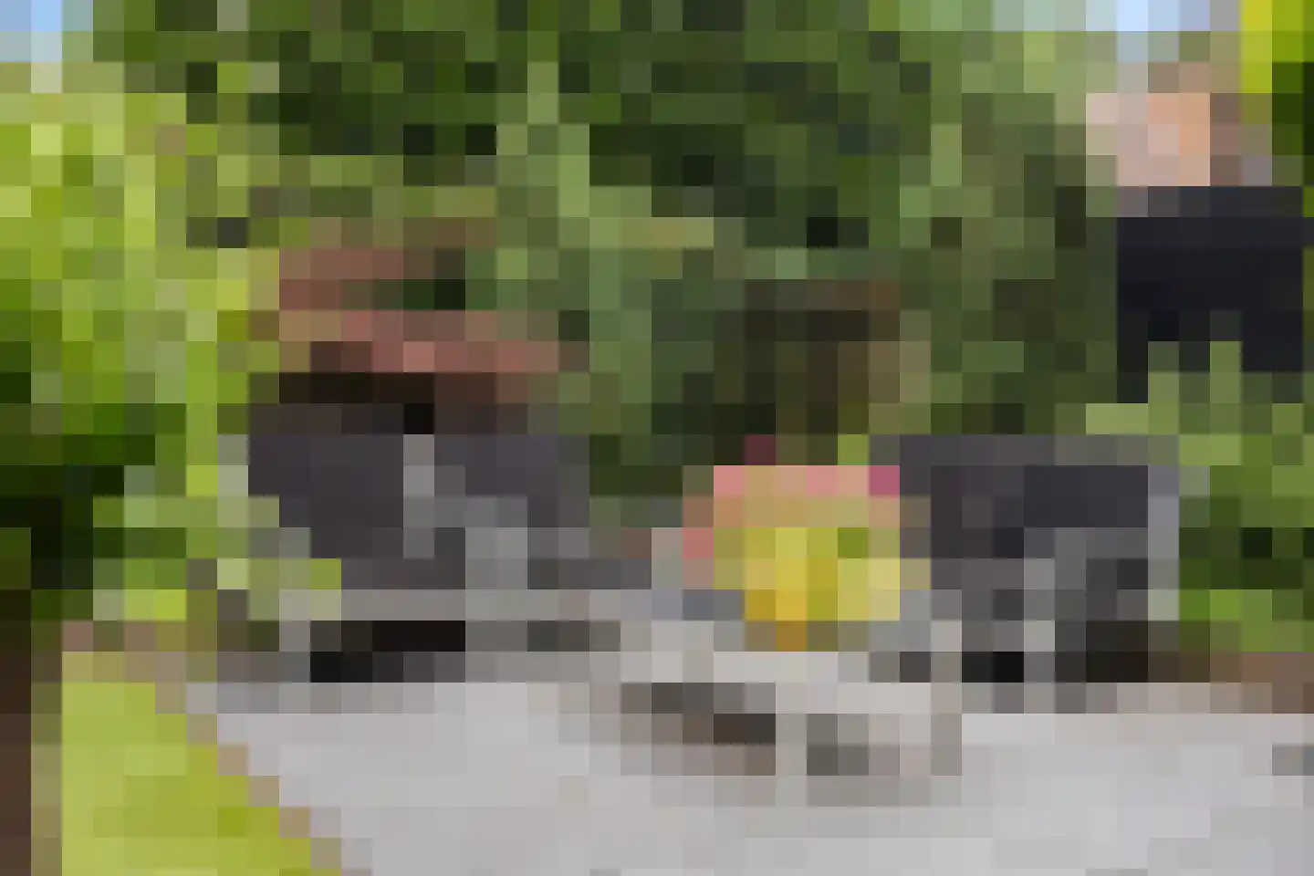 Krullelaan 2 A Zeist thumbnail 30