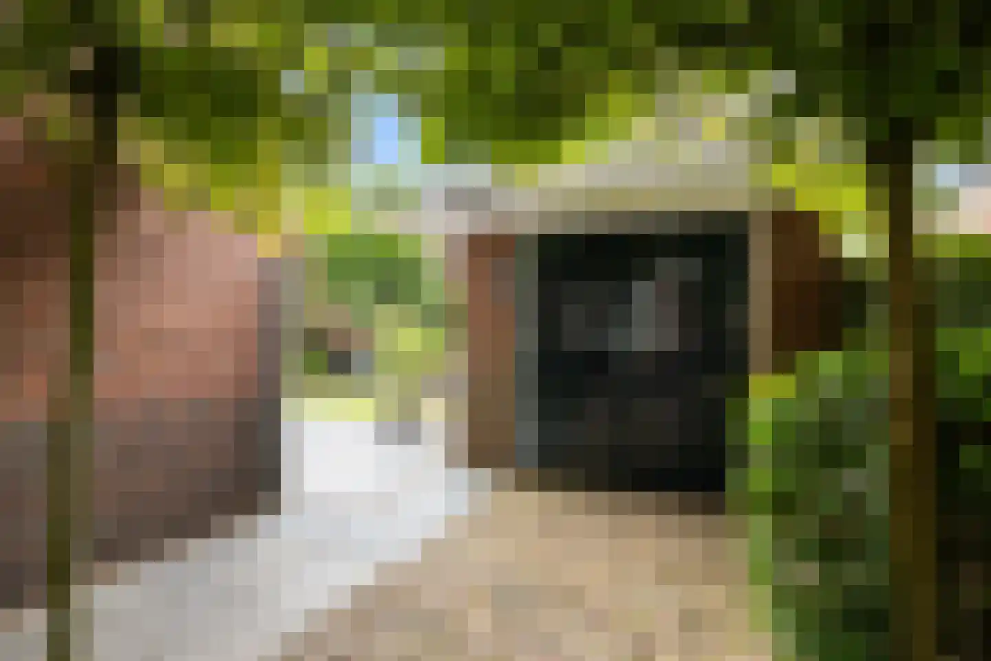 Krullelaan 2 A Zeist thumbnail 33
